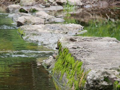 g9/77/588477/3/150130758.69sruOx6.jpg