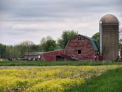 g9/77/588477/3/150130776.5jNXGGsx.jpg