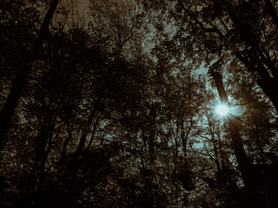 g9/77/588477/3/152916645.dmDO9jgN.jpg