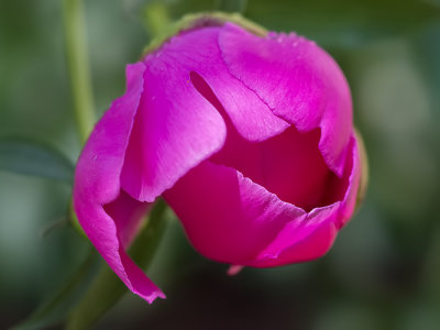 g9/77/588477/3/155912489.QuyDfdfy.jpg