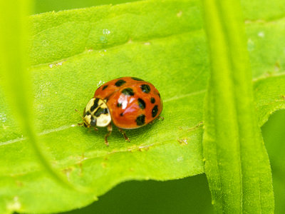 g9/77/588477/3/156126107.fjXJCSQD.jpg