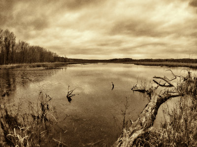 g9/77/588477/3/158446495.sOpoGunD.jpg