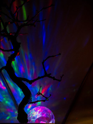 g9/77/588477/3/158711097.N37XpCnG.jpg
