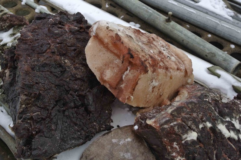 Whale Meat.jpg