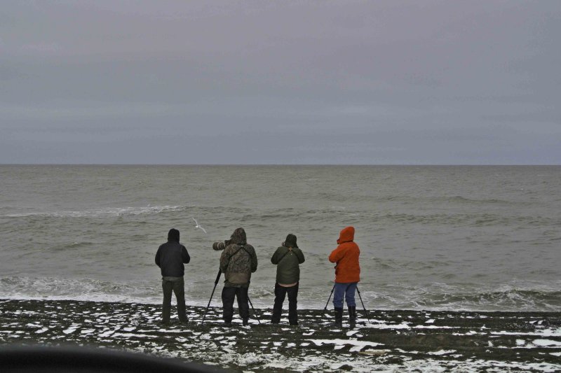 On Sea Watch.jpg