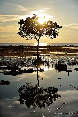 Dumalaay Blvd, Larena, Siquijor D700_22553 copy.jpg