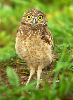 Wide-eyed youngster
