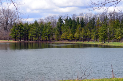 White Pine Pond