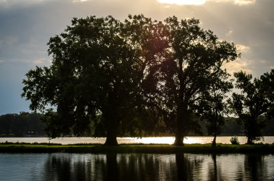 Boy Scout Island