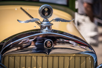 g9/77/677577/3/161378033.PyKnid6P.jpg