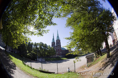 IMG_3557.jpg