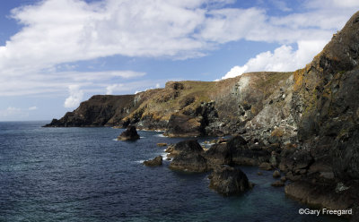 the lizard Panorama2.jpg