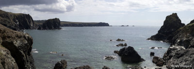 the lizard Panorama3.jpg