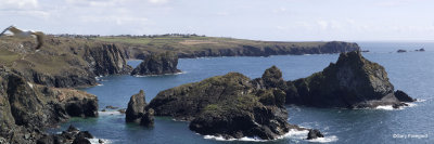 the lizard Panorama4.jpg