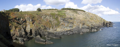 the lizard Panorama6.jpg