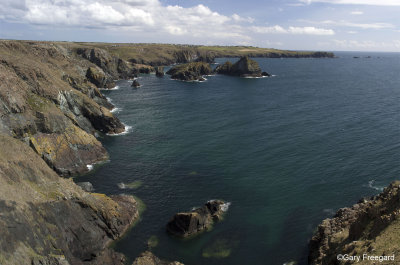 the lizard Panorama7.jpg