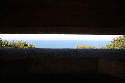 IMG_6497.jpg