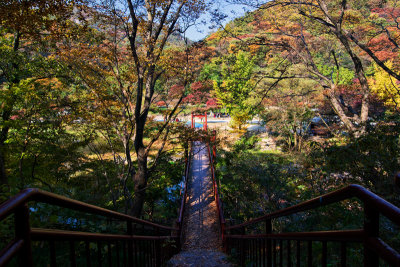 Fall Foliage, Baekyangsa Temple, South Korea
