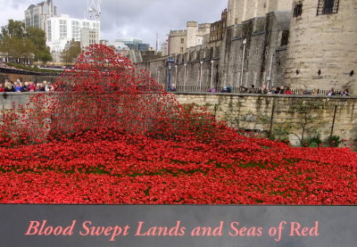 Blood swept lands and seas of red