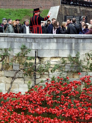 Beefeater directing the crowds