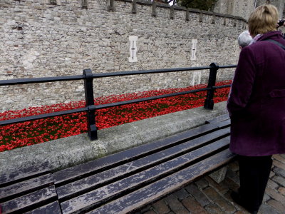 Most of us stood in quiet respectful awe of the heartache and loss these poppies repesented