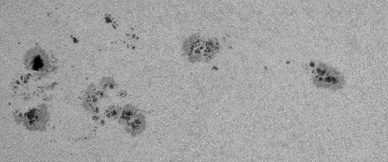 Sunspot Regions AR1982 and AR1981