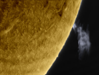 Prominence 29 January 2014