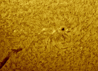 AR12187