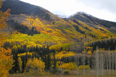 MaroonCreekAspens_EastView_IMG_3238.jpg