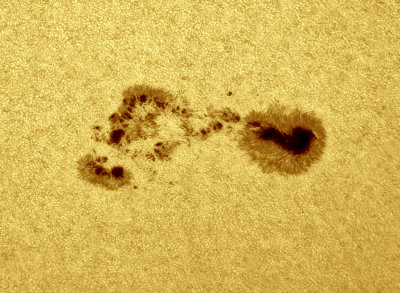 AR12396 WL