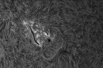 AR12421_Sun_105120_800x533.jpg