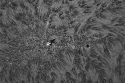 AR12435_Sun_124132_1188x792.jpg