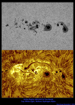 AR12443 In Two Bands