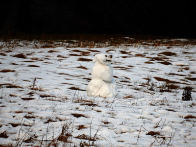 DSCN0289-OldSnowman.jpg