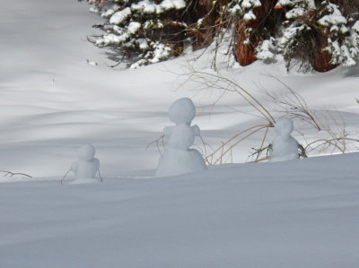 DSCN0348-BadgerPassSnowmen.jpg