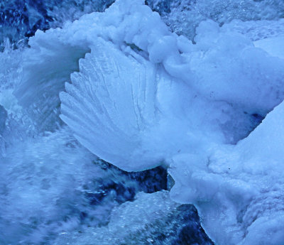 DSCN0419-IceWing.jpg