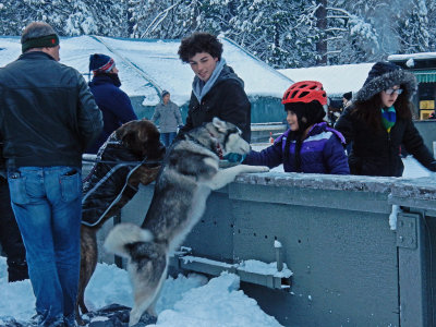 DSCN0481-DogsAndSkaters.jpg