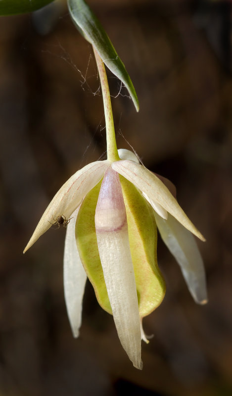 DSC_3065a.jpg