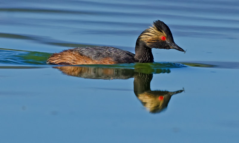 DSC_5837a.jpg