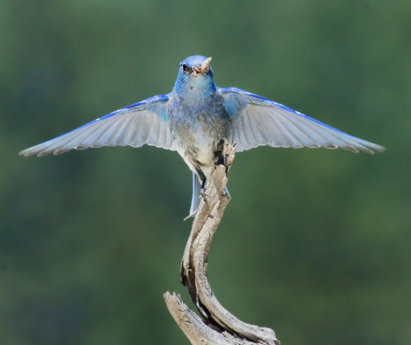DSC_8799a.jpg