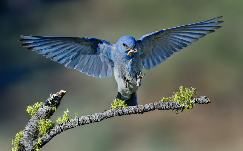 DSC_9851a.jpg