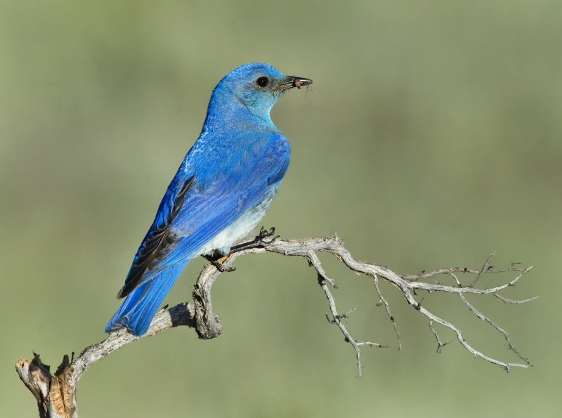 DSC_9995a.jpg