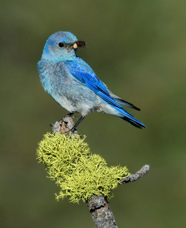 DSC_990389a.jpg