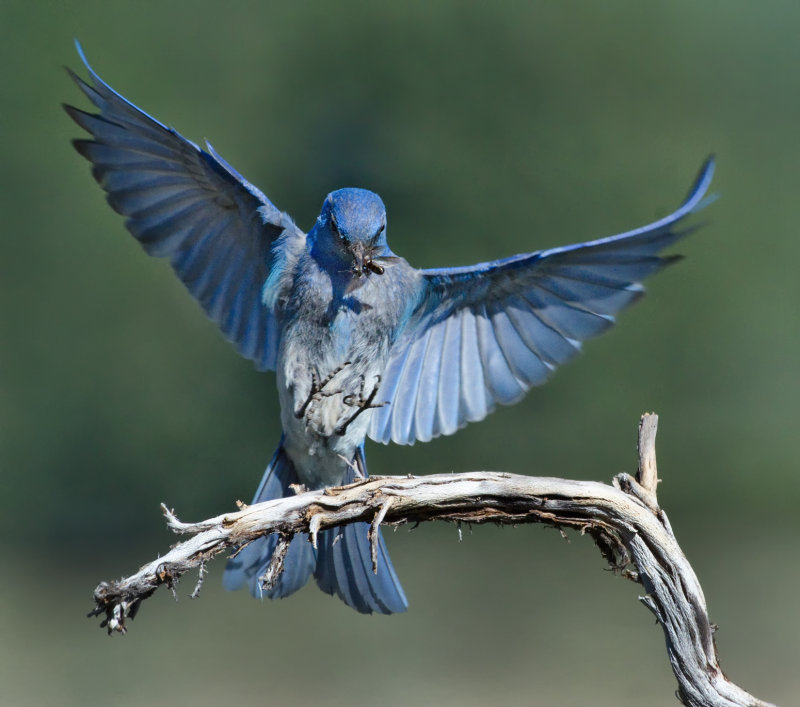 DSC_1128a.jpg