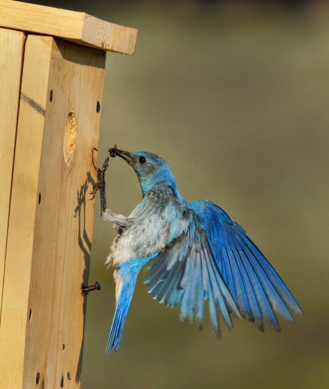 DSC_1378a.jpg