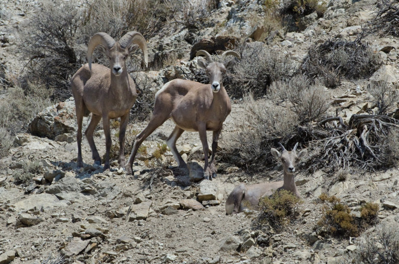 DSC_6326a.jpg