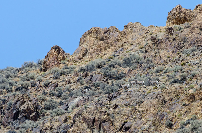 DSC_6473a.jpg