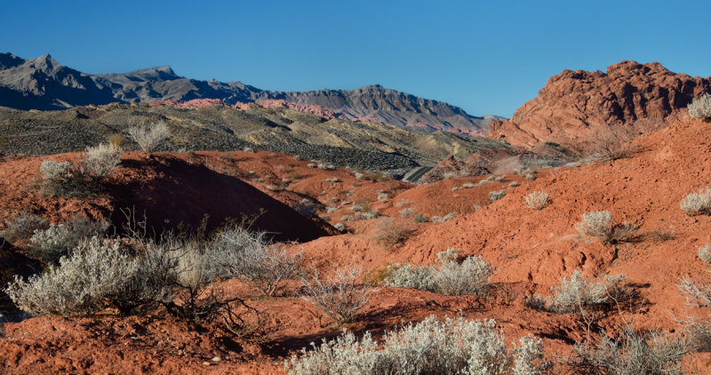 DSC_6617a.jpg