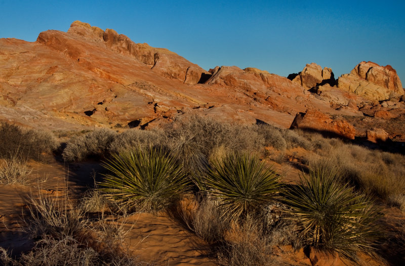DSC_6914a.jpg