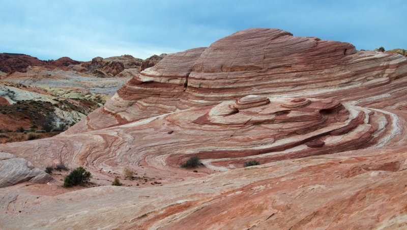 DSC_7210a.jpg